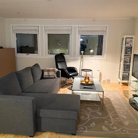 Fredelig Med Utsiktsplass Til Nordlys *