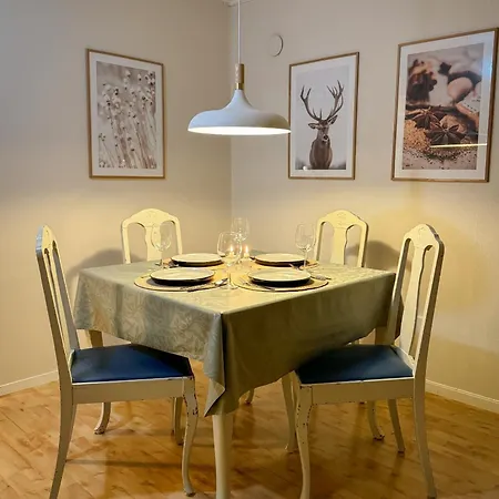 Fredelig Med Utsiktsplass Til Nordlys Apartament