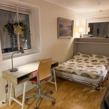 Fredelig Med Utsiktsplass Til Nordlys Apartament
