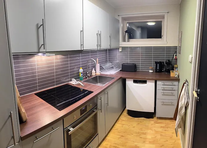 Fredelig Med Utsiktsplass Til Nordlys Apartament